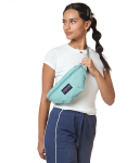 Swing Waistpack